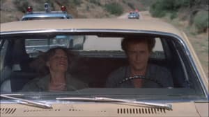 Moving Violation — foto 4