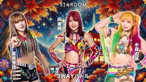 第15回 ゴッデス・オブ・スターダム ～タッグリーグ戦～ in KYOTO — foto 7