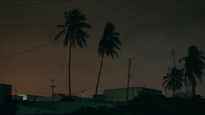 Atlántico — foto 7