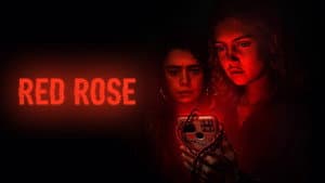 Red Rose — foto 6