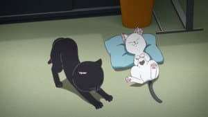 Episodio 2