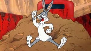 Homeless Hare — foto 1