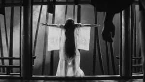 Kuroneko — foto 7