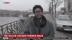 The Chicken — foto 1