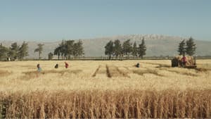 Wild Relatives — foto 2