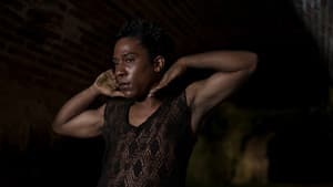 Sugar Island — foto 6