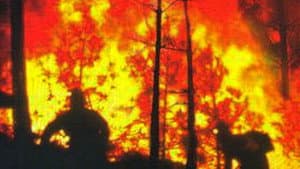 In the Line of Duty: Smoke Jumpers — foto 1