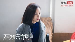 不知东方既白 — foto 1