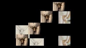 Cache-sexes : un jeu d'artiste — foto 2