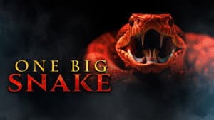 One Big Snake — foto 1