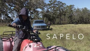 Sapelo — foto 1