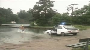 Den elake polisen — foto 1