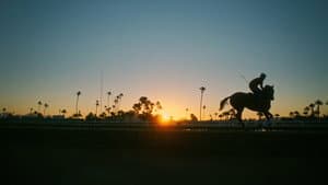 Jockey — foto 2