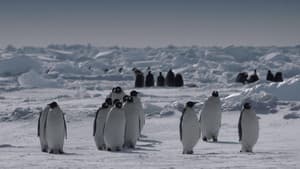 Antarctica in a Warming World — foto 2