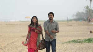 பண்டிகை — foto 5