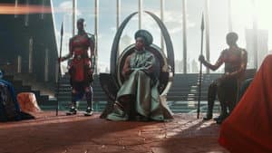 Pantera Negra: Wakanda por siempre — foto 12