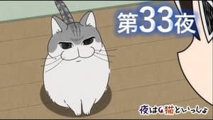 Episodio 33