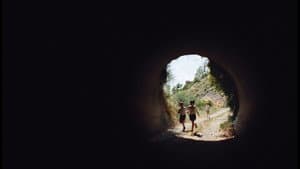 Tres tristes tigres — foto 3