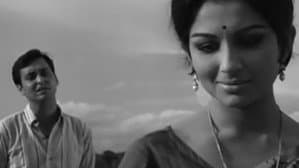 অরণ্যের দিনরাত্রি — foto 8