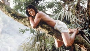 El libro de la selva: la aventura continúa — foto 2