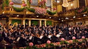 New Year's Concert 2011 - Vienna Philharmonic — foto 1