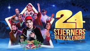 24-stjerners julekalender — foto 2