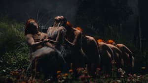 MOONCHILD EXPERIENCE — foto 1