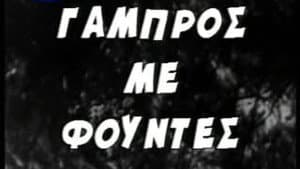 Γαμπρός με Φούντες — foto 1