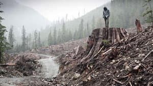 If a Tree Falls: A Story of the Earth Liberation Front — foto 1