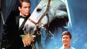 The Horse in the Gray Flannel Suit — foto 7