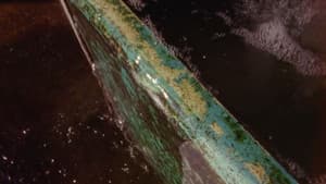 Signal 8 — foto 10