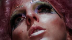 Luminous Procuress — foto 1