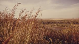 America's Lost Landscape: The Tallgrass Prairie — foto 1