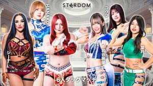 『プロレスバー ナダレシキ Presents STARDOM in TOYAMA 2024』 — foto 1