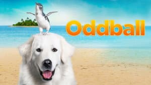 Oddball y sus pingüinos — foto 10