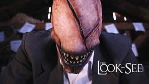 The Look-See — foto 3