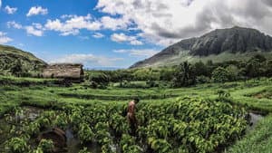 Hoʻomau — foto 10
