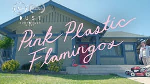 Pink Plastic Flamingos — foto 1