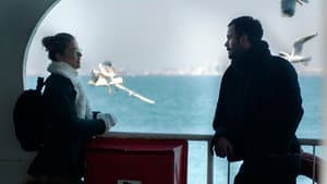 Kuzgun — foto 3