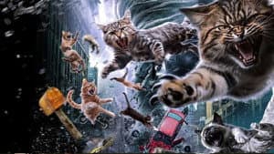 Catnado — foto 4