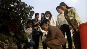 Episodio 11