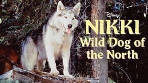 Nikki, Wild Dog of the North — foto 5