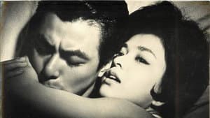 真昼の罠 — foto 1
