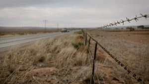 Salt of the Earth — foto 8
