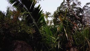 Seasons of the Wild — foto 1