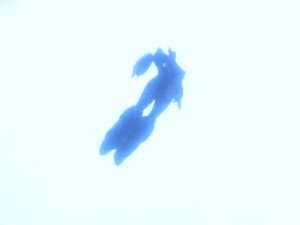 Episodio 49