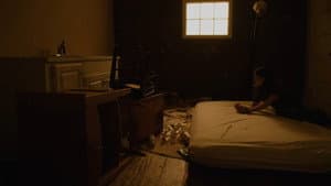 ANIMAL — foto 1