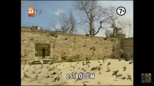 Episodio 15