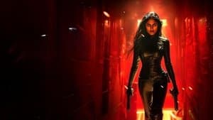 Ballerina Assassin — foto 5