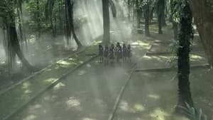 Viva JKT48 — foto 3